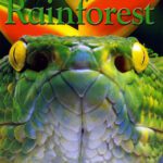 خرید و دانلود نسخه کامل کتاب EyeWonder: Rain Forest
