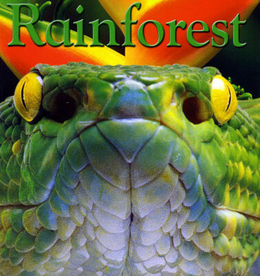 خرید و دانلود نسخه کامل کتاب EyeWonder: Rain Forest