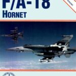 خرید و دانلود نسخه کامل کتاب F/A-18 Hornet