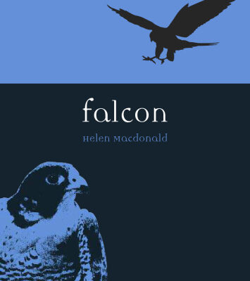 خرید و دانلود نسخه کامل کتاب Falcon