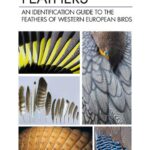 خرید و دانلود نسخه کامل کتاب Feathers: An Identification Guide to the Feathers of Western European Birds