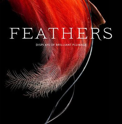 خرید و دانلود نسخه کامل کتاب Feathers: Displays of Brilliant Plumage