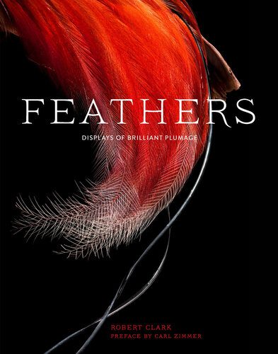 خرید و دانلود نسخه کامل کتاب Feathers: Displays of Brilliant Plumage_68e03de3ad39d.jpeg خرید و دانلود نسخه کامل کتاب Feathers: Displays of Brilliant Plumage