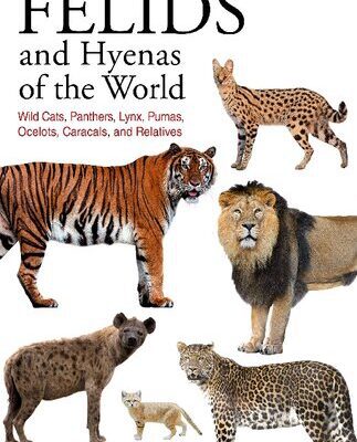خرید و دانلود نسخه کامل کتاب Felids and hyenas of the world. Wildcats, panthers, lynx, pumas, ocelots, caracals, and relatives