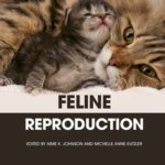 خرید و دانلود نسخه کامل کتاب Feline Reproduction