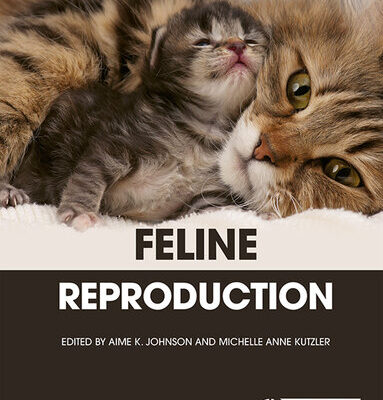 خرید و دانلود نسخه کامل کتاب Feline Reproduction