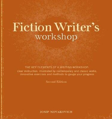 خرید و دانلود نسخه کامل کتاب Fiction Writer’s Workshop