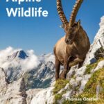 خرید و دانلود نسخه کامل کتاب Field Guide to Alpine Wildlife