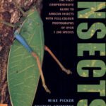 خرید و دانلود نسخه کامل کتاب Field Guide to Insects of South Africa