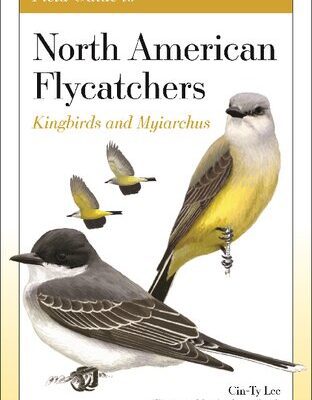 خرید و دانلود نسخه کامل کتاب Field Guide to North American Flycatchers: Kingbirds and Myiarchus