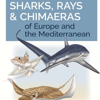 خرید و دانلود نسخه کامل کتاب Field Guide to Sharks, Rays & Chimaeras of Europe and the Mediterranean