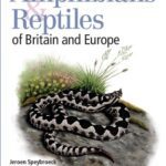 خرید و دانلود نسخه کامل کتاب Field guide to the Amphibians & Reptiles of Britain and Europe