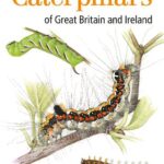 خرید و دانلود نسخه کامل کتاب Field guide to the caterpillars of Great Britain and Ireland