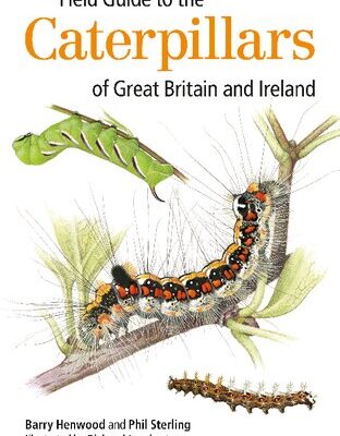 خرید و دانلود نسخه کامل کتاب Field guide to the caterpillars of Great Britain and Ireland