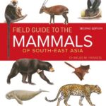 خرید و دانلود نسخه کامل کتاب Field Guide to the Mammals of South-East Asia