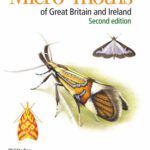 خرید و دانلود نسخه کامل کتاب Field Guide to the Micro-moths of Great Britain and Ireland, 2e