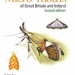 خرید و دانلود نسخه کامل کتاب Field Guide to the Micro-moths of Great Britain and Ireland, 2e