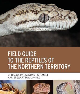 خرید و دانلود نسخه کامل کتاب Field Guide to the Reptiles of the Northern Territory