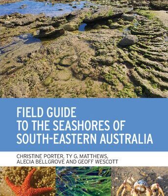 خرید و دانلود نسخه کامل کتاب Field Guide to the Seashores of South-Eastern Australia
