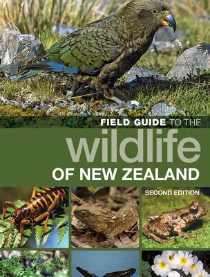 خرید و دانلود نسخه کامل کتاب Field Guide to the Wildlife of New Zealand