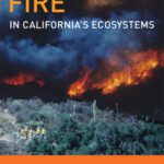خرید و دانلود نسخه کامل کتاب Fire in California’s Ecosystems (2006)(1st ed.)(en)(552s)