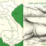 خرید و دانلود نسخه کامل کتاب Fish and Fish Dishes of Laos