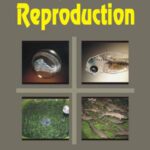 خرید و دانلود نسخه کامل کتاب Fish reproduction