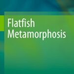خرید و دانلود نسخه کامل کتاب Flatfish Metamorphosis