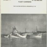 خرید و دانلود نسخه کامل کتاب Fleet Carriers (United States Navy Camouflage of WW2 Era Volume 2)