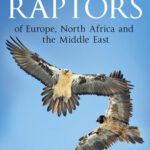 خرید و دانلود نسخه کامل کتاب Flight Identification of Raptors of Europe, North Africa and the Middle East