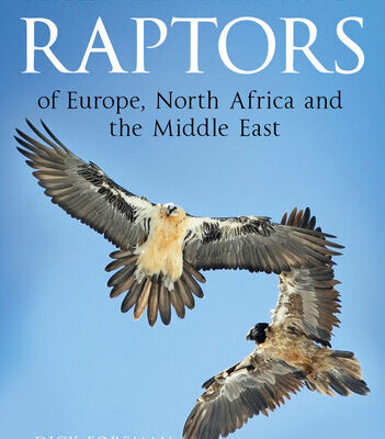 خرید و دانلود نسخه کامل کتاب Flight Identification of Raptors of Europe, North Africa and the Middle East