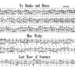 خرید و دانلود نسخه کامل کتاب Flutina and accordion teacher (part 2)