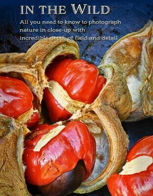 خرید و دانلود نسخه کامل کتاب Focus Stacking in the Wild: All you need to know to photograph nature in close-up with incredible depth and detail