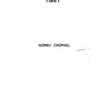 خرید و دانلود نسخه کامل کتاب Folk Culture of Tibet