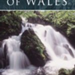 خرید و دانلود نسخه کامل کتاب Folklore of Wales