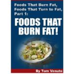 خرید و دانلود نسخه کامل کتاب Foods That Burn Fat