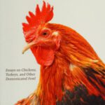 خرید و دانلود نسخه کامل کتاب For the Birds: From Exploitation to Liberation