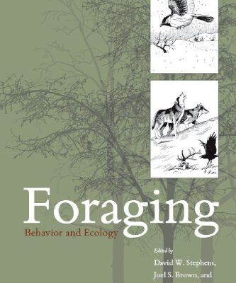 خرید و دانلود نسخه کامل کتاب Foraging – Behavior and Ecology