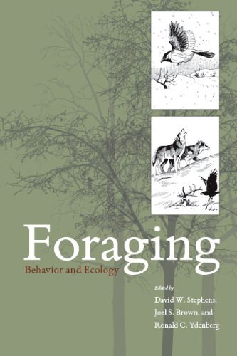 خرید و دانلود نسخه کامل کتاب Foraging – Behavior and Ecology_68ea4d6dbcae0.jpeg خرید و دانلود نسخه کامل کتاب Foraging – Behavior and Ecology
