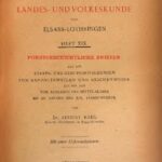 خرید و دانلود نسخه کامل کتاب Forstgeschichtliche Skizzen aus den Staats- und Gemeindewaldungen von Rappoltsweiler und Reichenweier aus der Zeit vom Ausgange des Mittelalters  bis zu Anfang des XIX. Jahrhunderts