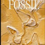 خرید و دانلود نسخه کامل کتاب Fossil (DK Eyewitness Books)