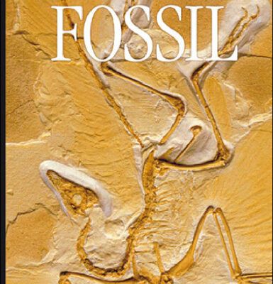 خرید و دانلود نسخه کامل کتاب Fossil (DK Eyewitness Books)
