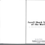 خرید و دانلود نسخه کامل کتاب Fossil shark teeth of the world: A collector’s guide