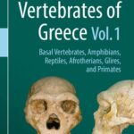 خرید و دانلود نسخه کامل کتاب Fossil Vertebrates of Greece Vol. 1: Basal vertebrates, Amphibians, Reptiles, Afrotherians, Glires, and Primates