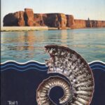 خرید و دانلود نسخه کامل کتاب Fossilien Helgolands. Teil 1. Trias und Unter-Kreide
