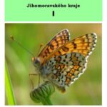 خرید و دانلود نسخه کامل کتاب Fotografický přehled denních motýlů Jihomoravského kraje. 1