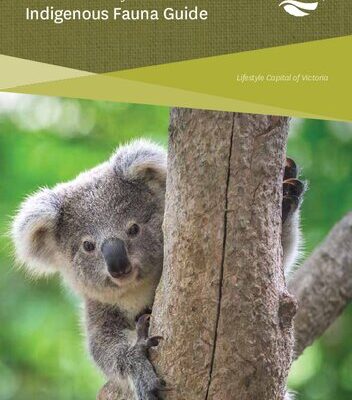 خرید و دانلود نسخه کامل کتاب Frankston City Council Indigenous Fauna Guide