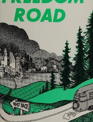 خرید و دانلود نسخه کامل کتاب Freedom Road