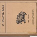 خرید و دانلود نسخه کامل کتاب Frogs and Toads of South Africa