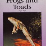 خرید و دانلود نسخه کامل کتاب Frogs and Toads